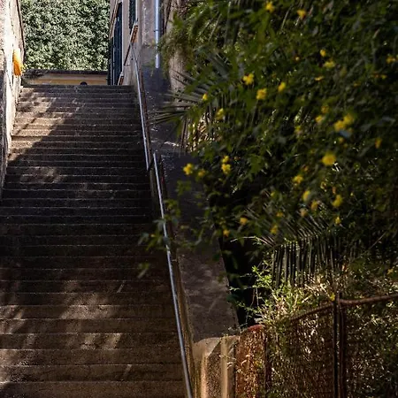 Porat Ντουμπρόβνικ